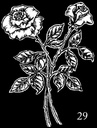 Foto 28