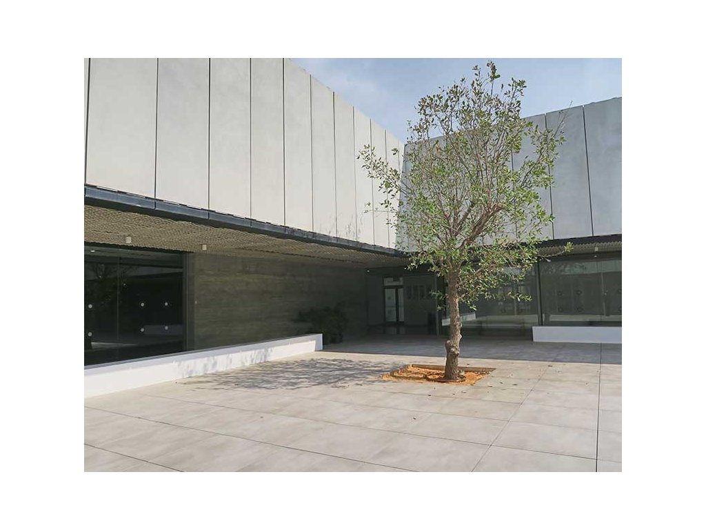 Veľkoformátová dlažba Cattedrale Cemento 90×90 cm