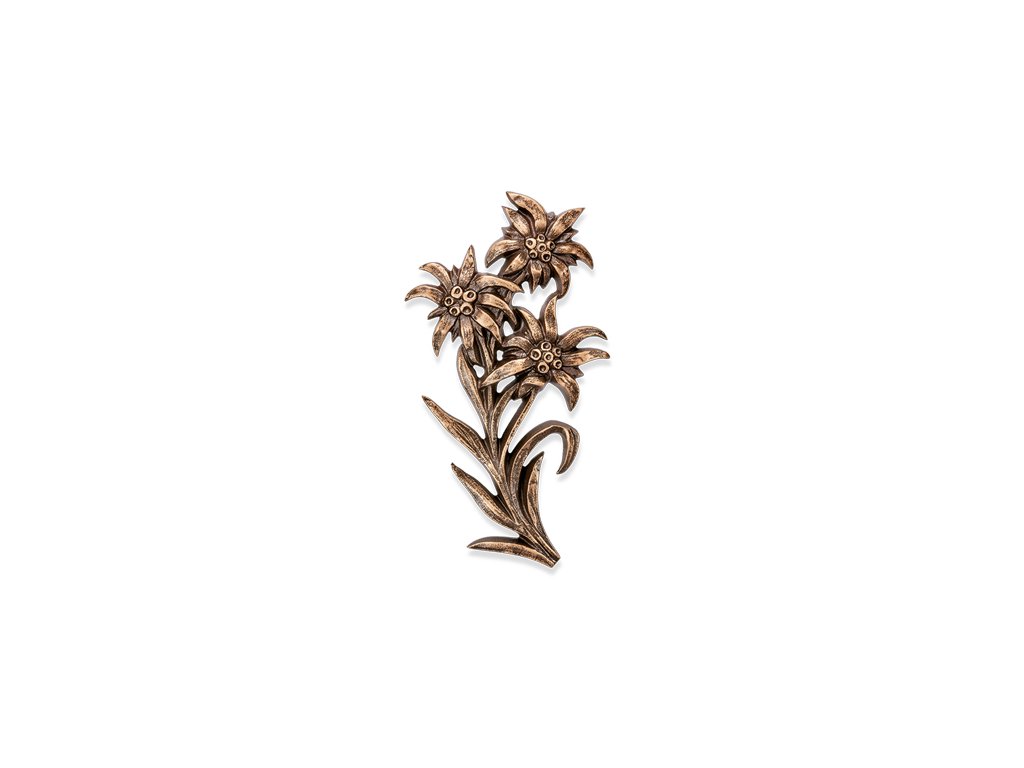 Bronzový Edelweiss na náhrobok, 26×15 cm