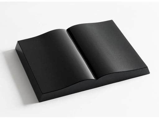 [MG-ZULOVA-KNIHA-MBP-01] Žulová kniha MBP 01