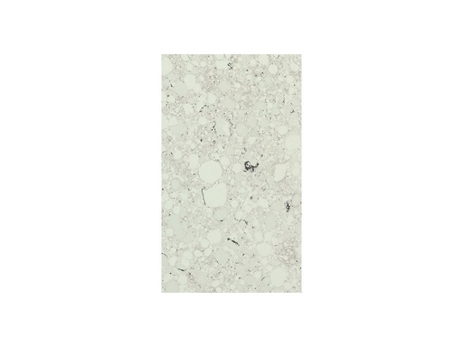 QUARELLA BIANCO APUANO (1,2 cm Produkt)