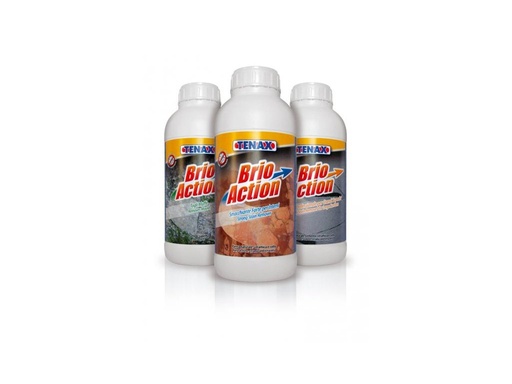 [3752] BRIOACTION 3 – professioneller Fleckenentferner für große Flächen.