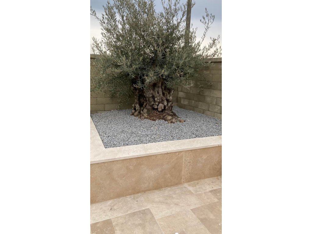 Travertin Light Mix Fliesen 61 × 40,6 x 3 cm